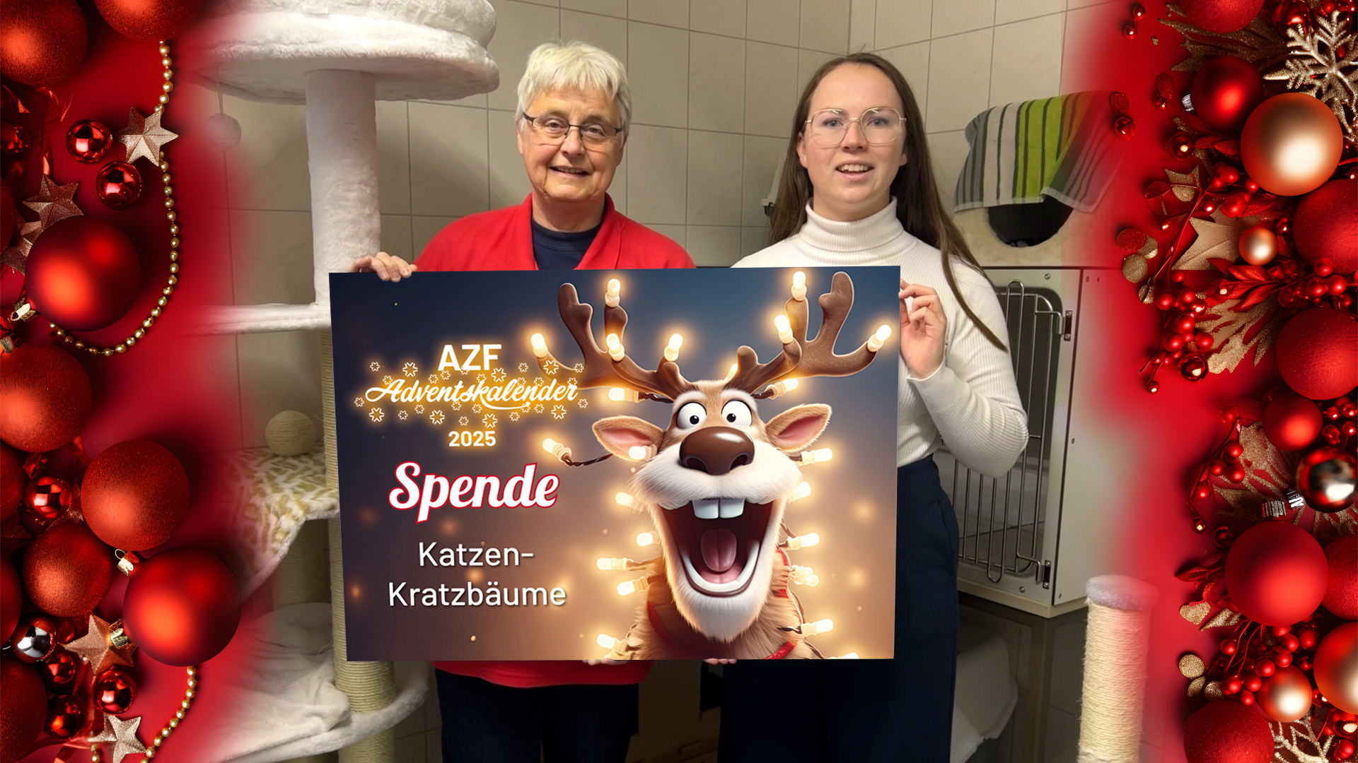 Zwei Personen halten eine Spendentafel in einem Tierheim im Hintergrund steht ein Kratzbaum für Katzen